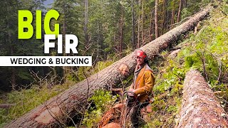 86. Falling \u0026 Bucking a Big Fir Tree | Heli-Logging