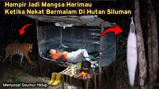 CAMPING HOROR❗Menyesal Seumur Hidup Hampir Jadi Mangsa Harimau Siluman Dan Sosok Pocong Remuk