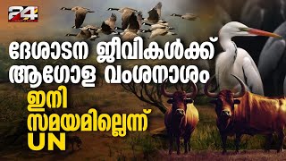 മനുഷ്യന്റെ കയ്യേറ്റം മൂലം 22% ദേശാടന ജീവികൾ വംശനാശംത്തിലെന്ന് യുഎൻ Migratory Animals extinction