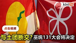 基层提呈与团结党断交议案   巫统31日大会将定夺