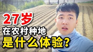 27岁在农村种地是什么体验？两天投入四五千，收入0元？