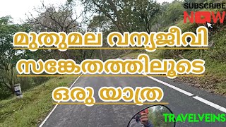 Muthumala wildlife sanctuary  on road | EXPLORING THE NILGIRIS EP -7 | Travelveins vlog -22