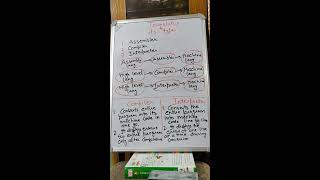 Introduction To Translators - Class 8