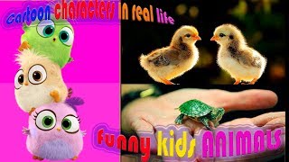 CARTOON CHARACTERS Compilation Funny and Cute baby animals What are they in real life? NameOfAnimals