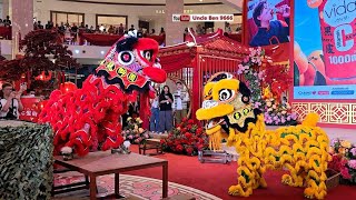 2025 CNY Traditional Lion Dance Performance @ Pavilion KL #吉隆坡勝威龍獅體育會