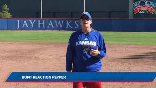 Two Pepper Drills for Softball Infielding Practice!