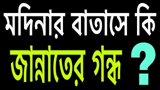 মদিনার বাতাসে কি জান্নাতের গন্ধ পাওয়া যায়? ড: আবু বক্কর মুহাম্মদ জাকারিয়া