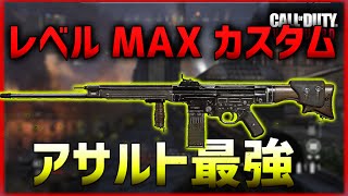 【COD:V】STG44が強すぎる！！アサルト最強カスタム！  【ななか】