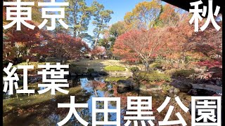 11月　紅葉・黄葉　大田黒公園　ー　12ヶ月の東京