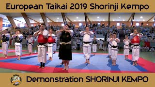 TAIKAI 2019  Shorinji Kempo demonstration techniques goho, juho, randori  少林寺拳法