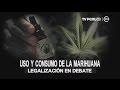 Legalización del consumo de la marihuana con fines medicinales en debate