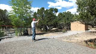 Hammerhead Shark Swing Test