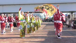 彪牙天翔　24年ドリーム夜さ来い祭り２日目お台場自由の女神会場第１回