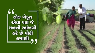 એક ખેડૂતે ગૌમૂત્ર અને આકડાંના પાનનો એવો કર્યો પ્રયોગ કે ધનના ભંડાર ભરાયા! ZEE 24 Kalak