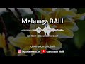 mebunga bali music balinese