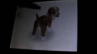 Nintendogs Help and Advice Advance/Combo Tricks: Breakdance Part 2