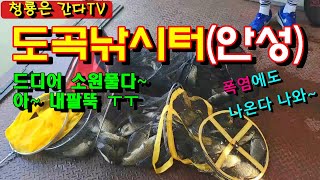 도곡낚시터(안성) 폭염주의보 더위와의 싸움. 해병대VS특전사 낚시[청룡은 간다TV 43]