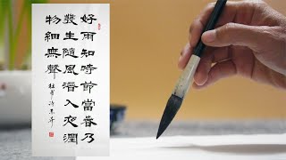 真是隶书高手，从头到尾都没挑出毛病来，这幅书法写活了