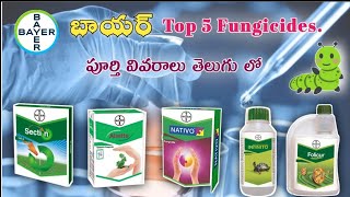 Bayer Top 5 Fungicides|తెలుగులో|Mana kisan (మన రైతు)