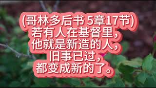 (哥林多后书 5章17节)2024年10月7日星期一#shorts  #基督徒 #基督教 #教會 #福音 #圣经 #shorts #聖經 #教会学校#哥林多后书