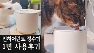 필터 없이 쓸래! 인히어런트 머그 고양이 정수기 1년 4개월 사용 후기