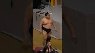 阿炎入場✨　#2024福祉大相撲 #阿炎 #sumo #相撲 #大相撲