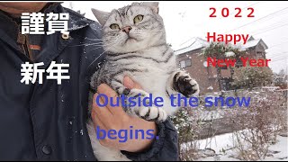 1月1日謹賀新年の雪中から帰りたくない猫　Happy New Year in Japan with Cat.