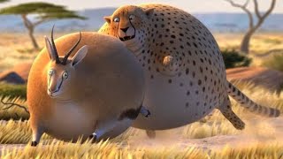 Divertidos Animales Gordos - Cortometraje Animado | Animales De Dibujos Animados Películas