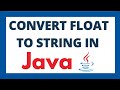 Convert float to string in java using 2 ways | Float to String datatype conversion