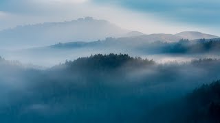 【古蜀】古時杜宇稱望帝，魂作杜鵑何微細。雲霧繚繞的深山峻嶺中，一段屬於巴蜀的千年淒美故事。