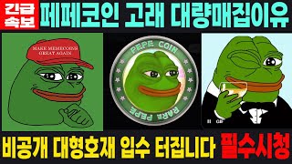 [페페코인] PEPE - 긴급속보 고래 대량매집이유 비공개 대형호재 입수 터집니다 필수시청 코미녀