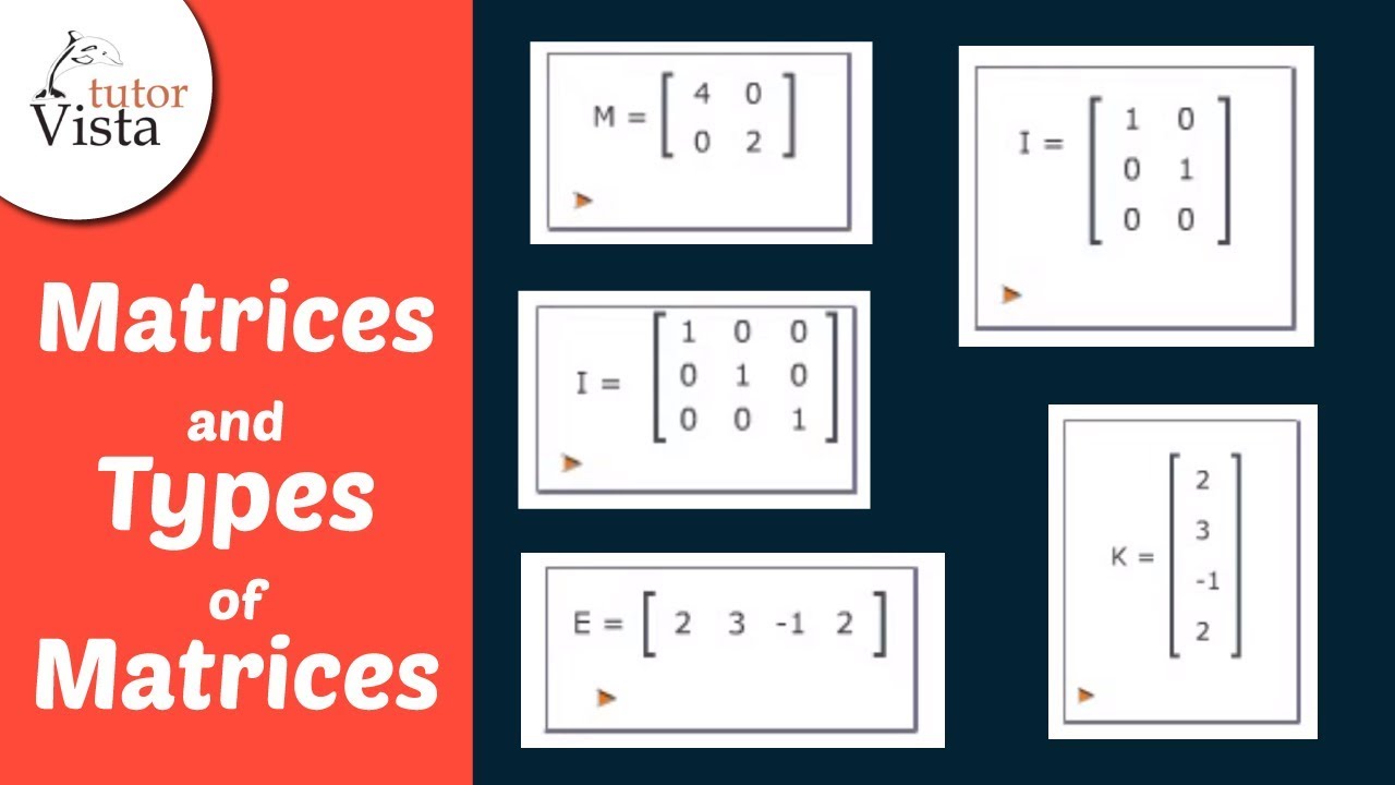 Matrices And Types Of Matrices Definition |Examples, 48% OFF