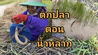 ตกปลาตอนน้ำหลากมา-กับคันชิงหลิวบ้านๆ555