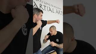 Boxing vs Wing Chun - Self Defense and Martial Arts