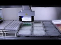 ALE | Tecan EVO 200 Liquid Handler with MCA
