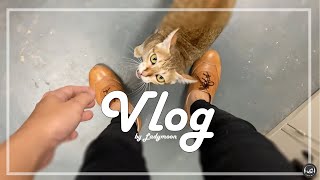 VLOG01 I Work I Walk I Cathugday