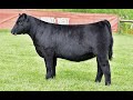 Lot 2 - Monti West 2024
