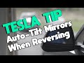 Tesla Quick Tip: How to Tilt Mirrors when Reversing - Mirror Auto-Tilt Feature