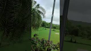 Monsoon Greenery @sandeevlogs #monsoon