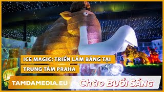 TamdaMedia | CHÀO BUỔI SÁNG - 16.01.2025 | Ice Magic: Triển lãm băng tại trung tâm Praha