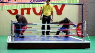 Orangutan Boxing