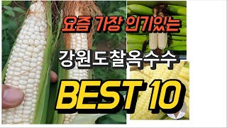 2023년 7월 강원도찰옥수수 제품 추천순위 TOP10