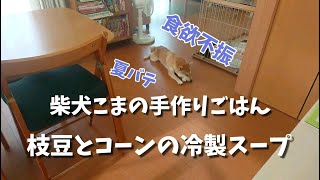 柴犬こまが食欲不振！枝豆とコーンの冷製スープ｜柴犬こまの手作りごはん【柴犬こま】Shiba Inu eats a cold soup of edamame and corn