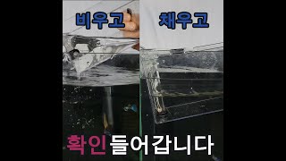 물순환 확인들어갑니다 #부화통 #물고기 #구피치어