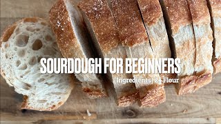 초보님들을 위한 사워도우 베이킹 시리즈 [재료편 2. 밀가루] Sourdough baking for beginners [Ingredients 2.  Flour] [자막/CC]