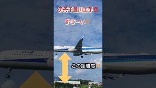 【伊丹千里川土手‼️こんなに近くで見れるなんて‼️😲】#ANA #plane #飛行機 #飛行場 #비행기 #shorts #伊丹空港 #迫力 #JAL #千里川土手 #airport #japan