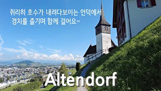 Altendorf/스위스  산책로, 취리히 호수가 보이는 아름다운 풍경을 걸어봅니다.Walk in the beautiful scenery of Switzerland