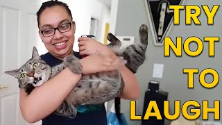 Try Not to Laugh Challenge 😂 Funny Fails