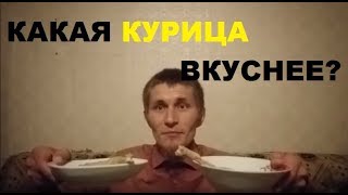 Какие куры вкуснее? Куриное мясо. Леггорн / деревенская?