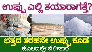 ಉಪ್ಪು ಎಲ್ಲಿ ಮತ್ತು ಹೇಗೆ ತಯಾರಾಗತ್ತೆ?|How And Where Salt is prepared|Salt Preparation Unit|Raju Ashte|